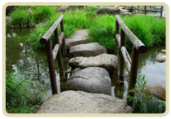 Strengthen Your Roots